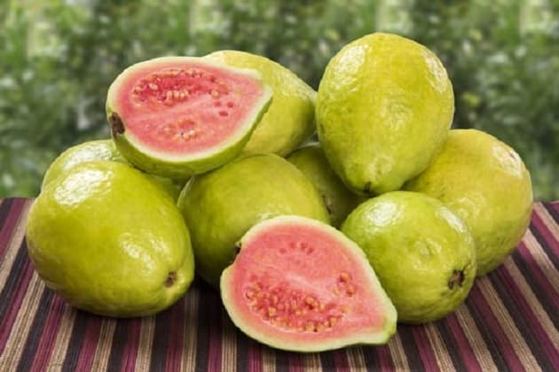 Guava's