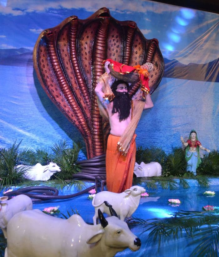 amazing pics of Krishna janamashtmi celebretion