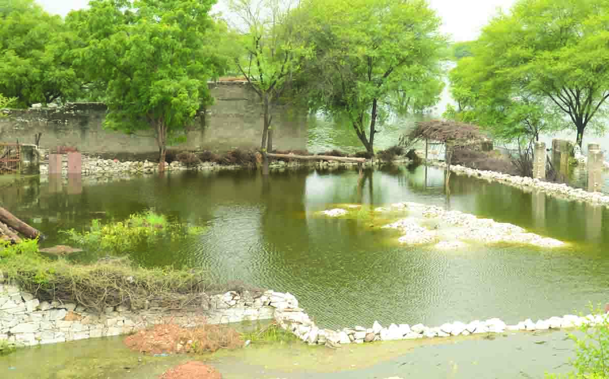 Rajsamand lake overflow, Rajsamand news, Rajsamand Hindi news, Rajsamand Lake, Latest hindi news rajsamand, Rajsamand