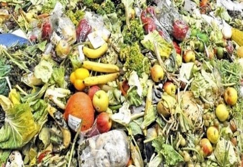 vegetables wastage