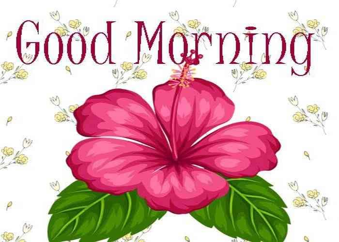 good morning images for whatsapp, facebook, twitter, social media, good morning hd images, good morning hindi, good morning wishes, good morning love, good morning pictures for whatsapp, good morning flowers, good morning msg, good morning sunday, Good Morning Photos, Best Wallpapers, Good Morning Quotes, Good Morning Quotes  Saying, Dgreetings, whatsapp facebook twitter के लिए ये हैं सबसे अच्छी good morning images