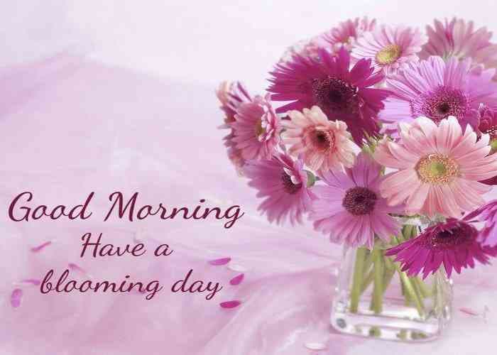 good morning images for whatsapp, facebook, twitter, social media, good morning hd images, good morning hindi, good morning wishes, good morning love, good morning pictures for whatsapp, good morning flowers, good morning msg, good morning sunday, Good Morning Photos, Best Wallpapers, Good Morning Quotes, Good Morning Quotes  Saying, Dgreetings, whatsapp facebook twitter के लिए ये हैं सबसे अच्छी good morning images