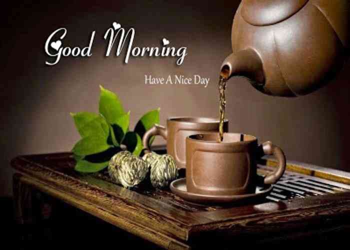 good morning images for whatsapp, facebook, twitter, social media, good morning hd images, good morning hindi, good morning wishes, good morning love, good morning pictures for whatsapp, good morning flowers, good morning msg, good morning sunday, Good Morning Photos, Best Wallpapers, Good Morning Quotes, Good Morning Quotes  Saying, Dgreetings, whatsapp facebook twitter के लिए ये हैं सबसे अच्छी good morning images