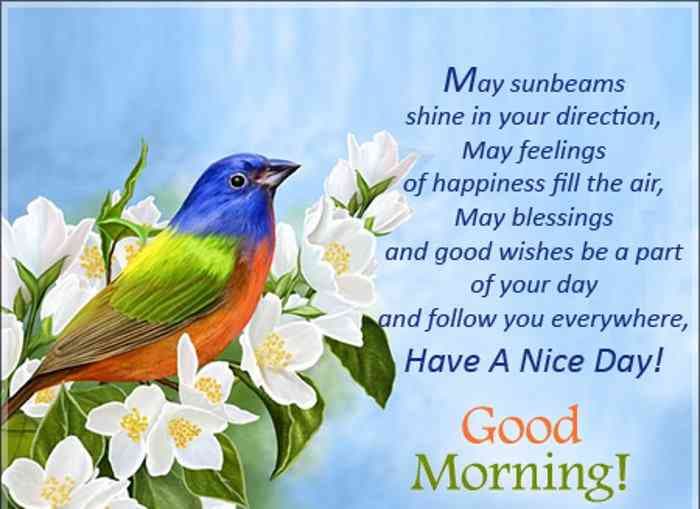 good morning images for whatsapp, facebook, twitter, social media, good morning hd images, good morning hindi, good morning wishes, good morning love, good morning pictures for whatsapp, good morning flowers, good morning msg, good morning sunday, Good Morning Photos, Best Wallpapers, Good Morning Quotes, Good Morning Quotes  Saying, Dgreetings, whatsapp facebook twitter के लिए ये हैं सबसे अच्छी good morning images