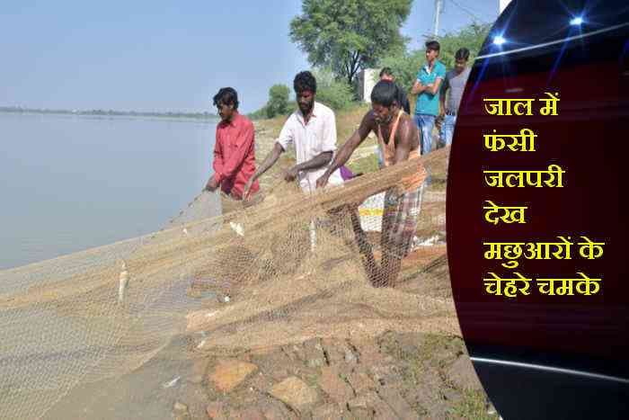 Bhilwara, Bhilwara news, Fisheries in bhiwara, Latest news in bhilwara, Bhilwara News in hindi, Hindi News in bhilwara, Latest hindi news in bhilwara