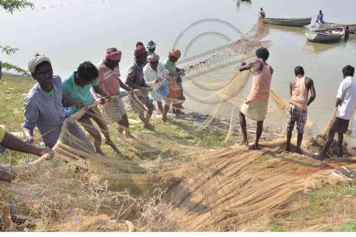 Bhilwara, Bhilwara news, Fisheries in bhiwara, Latest news in bhilwara, Bhilwara News in hindi, Hindi News in bhilwara, Latest hindi news in bhilwara