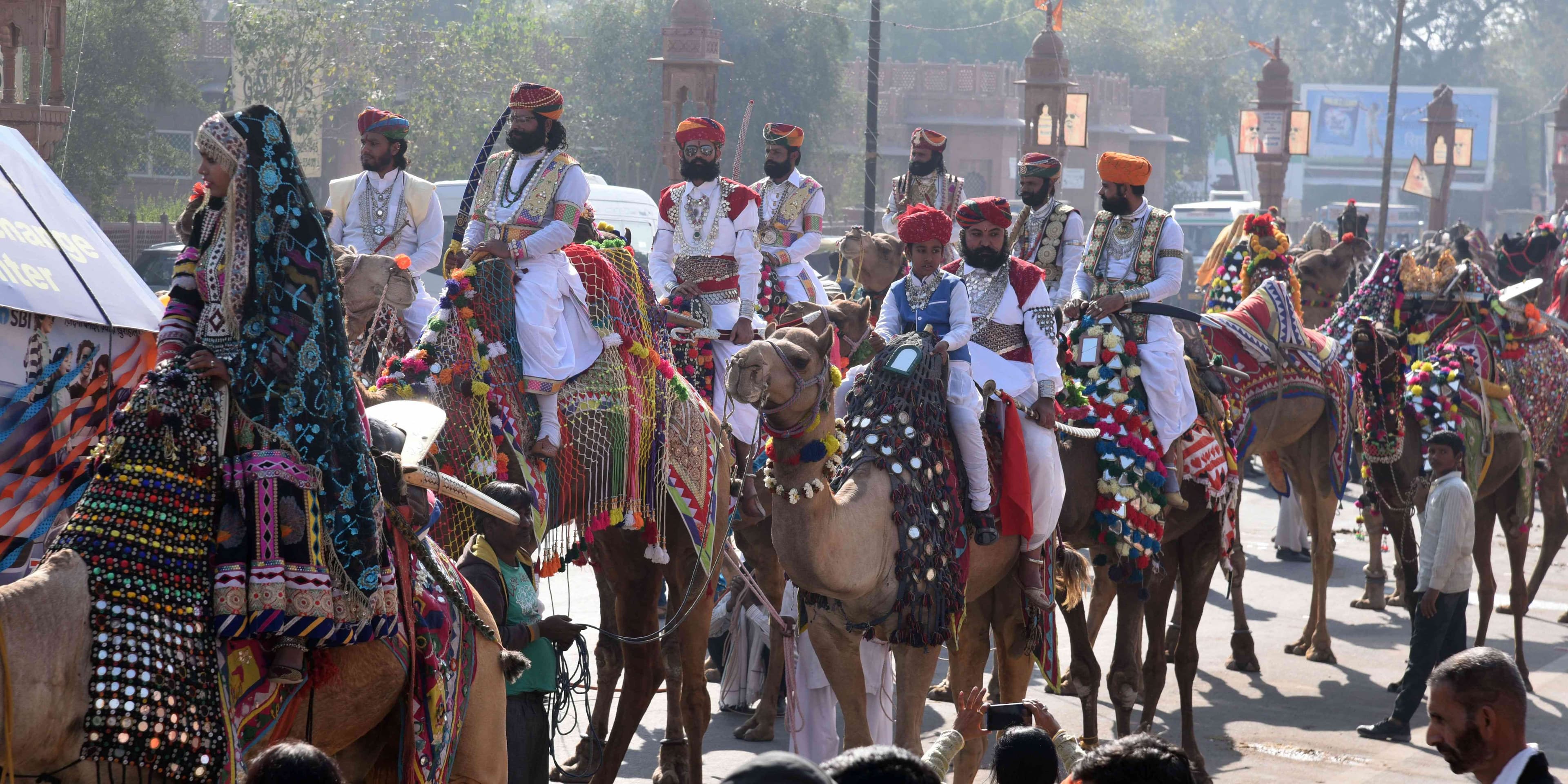 international camel festival 2018