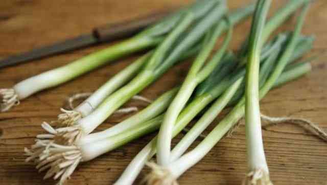 Green onion