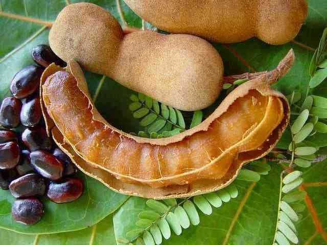 Tamarind