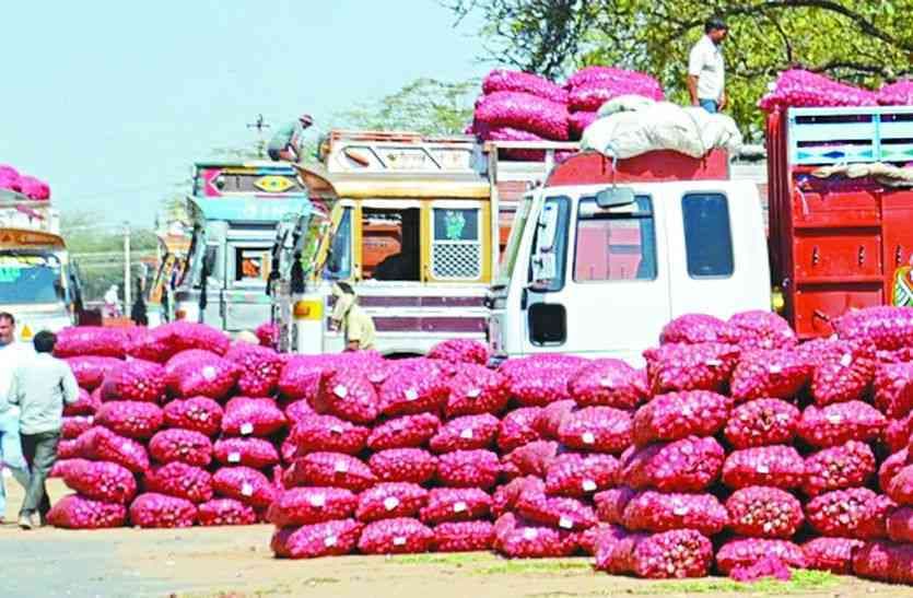 sikar pyaj sikar Onion 