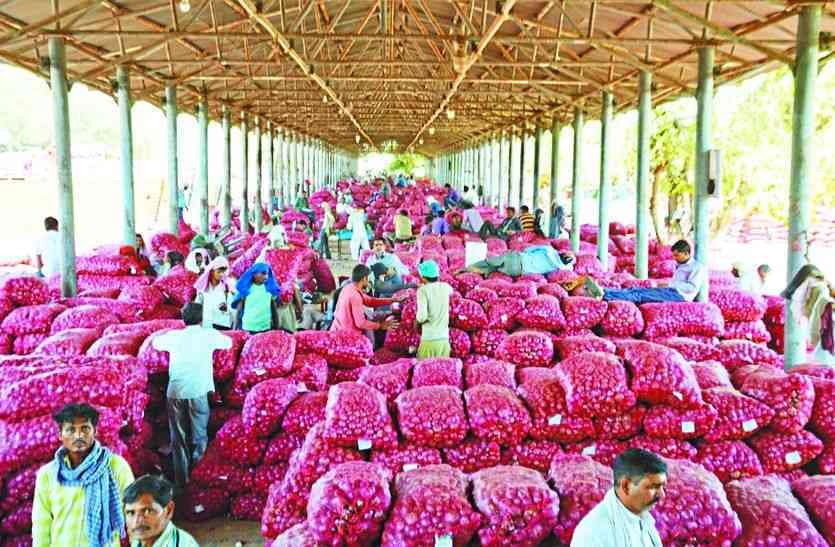 sikar pyaj sikar Onion 