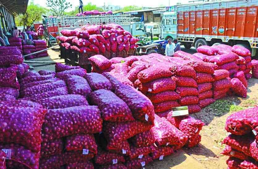 sikar pyaj sikar Onion 