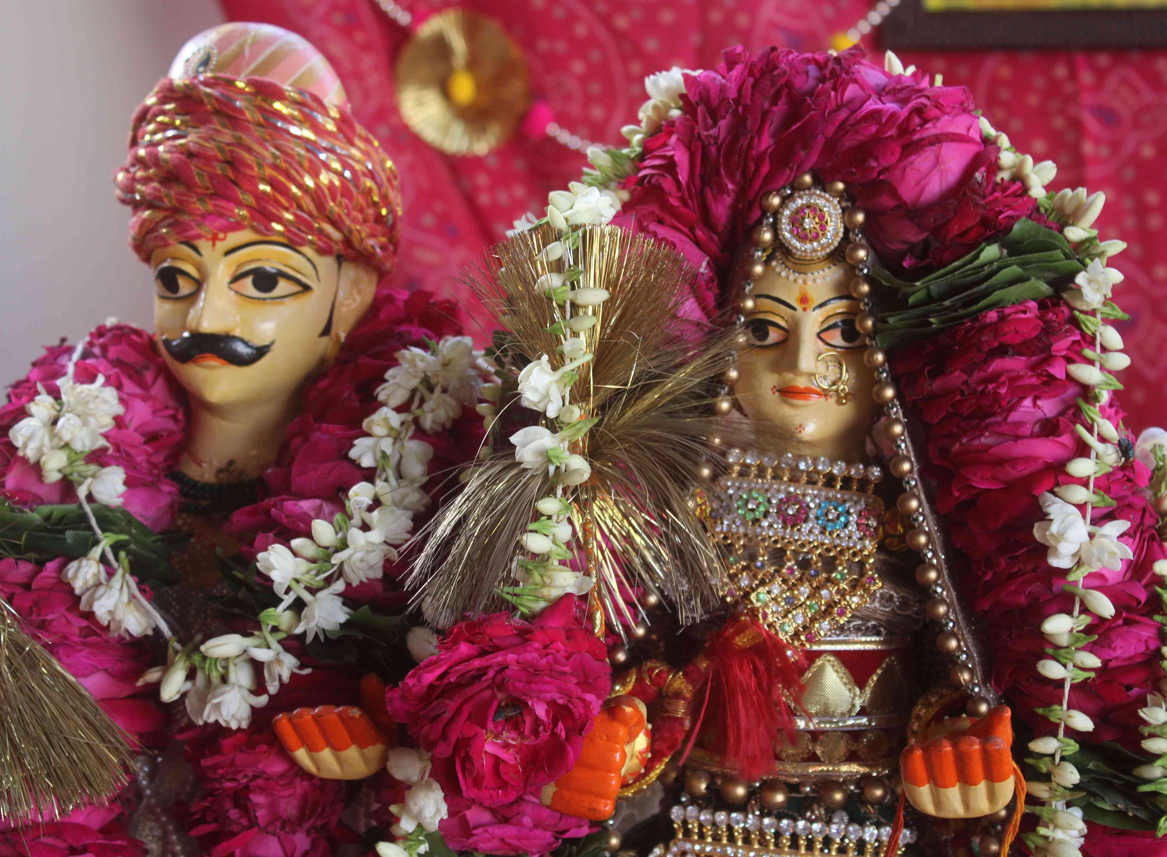 beautiful pics of gangaur parv