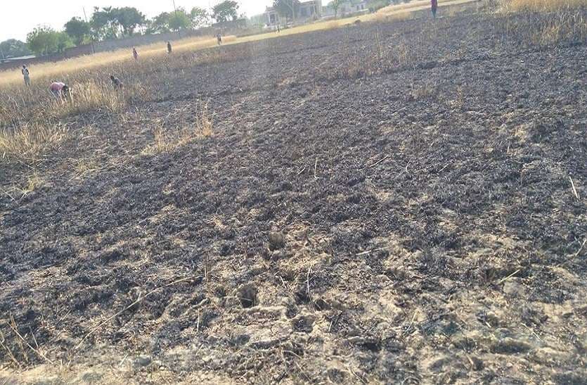 Burn Farmer field