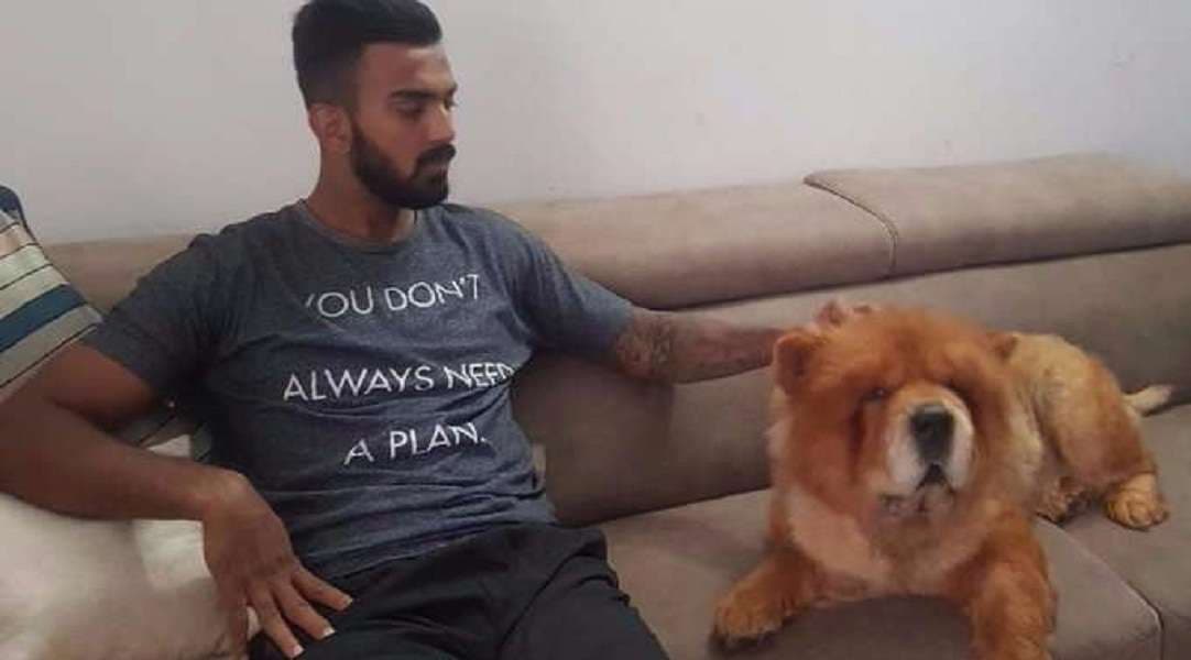 KL Rahul,Indian cricketer,IPL,girlfriend,delhi dare devils,Kings eleven punjab,Fastest fifty,ipl 2018,