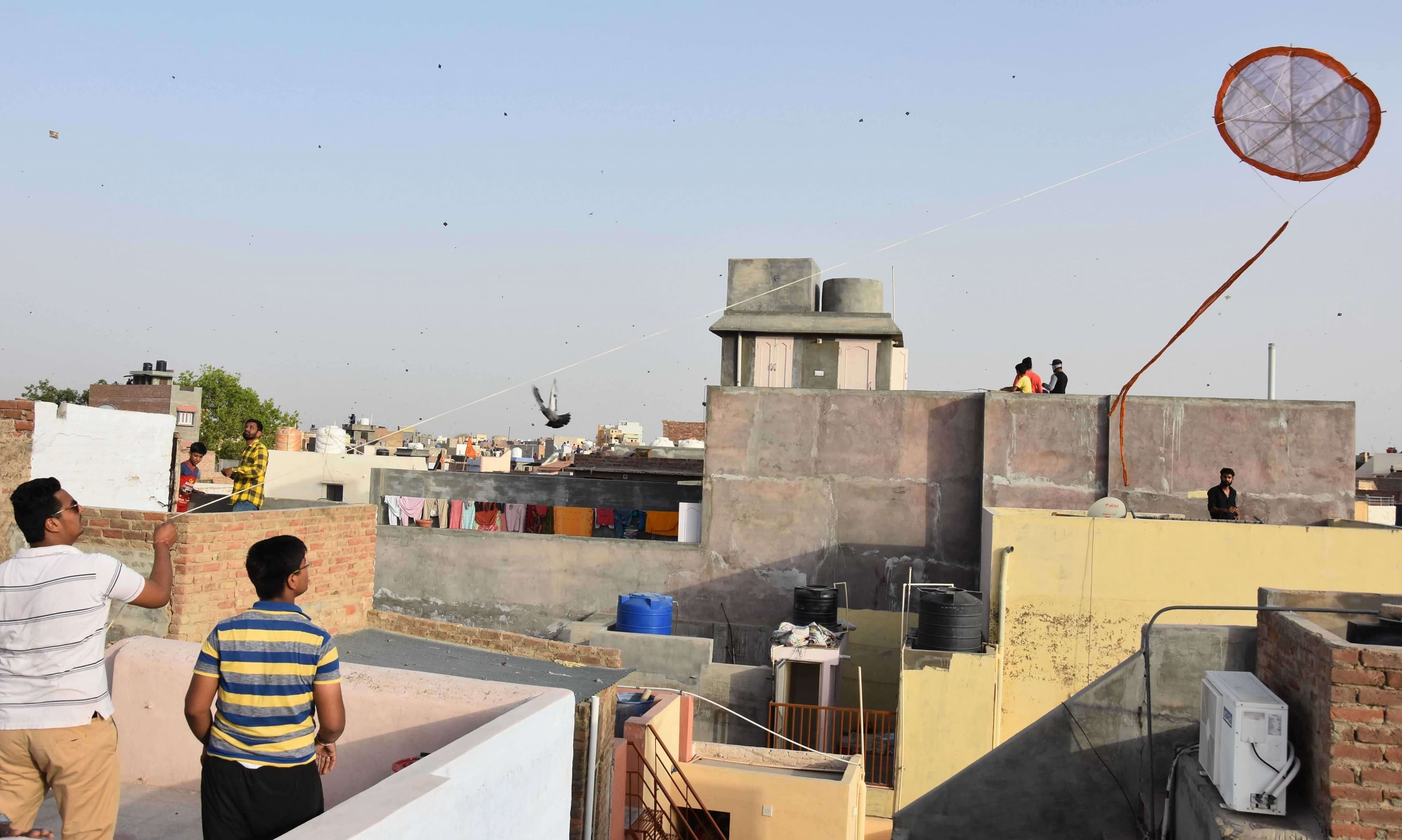 kites flying