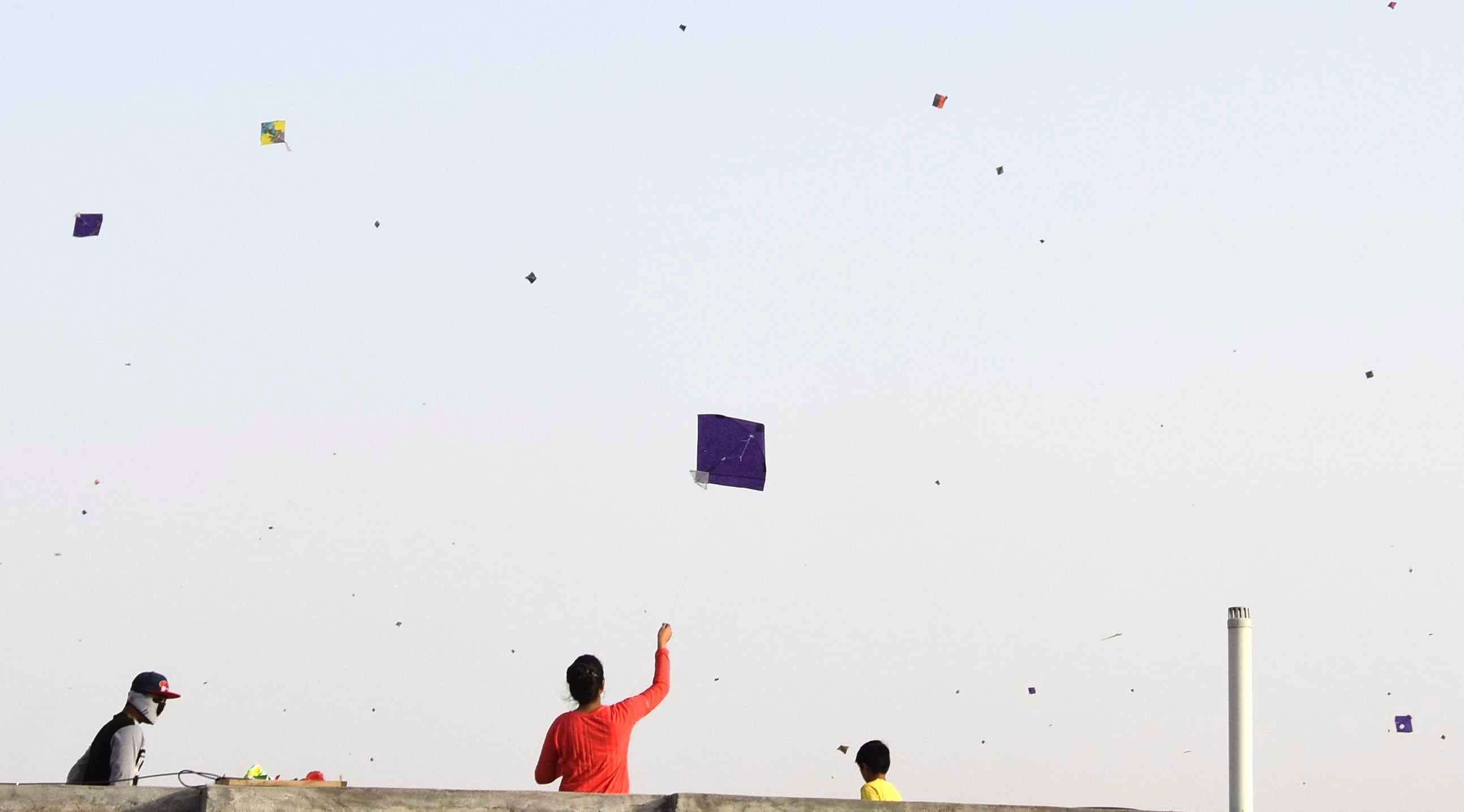 kites flying