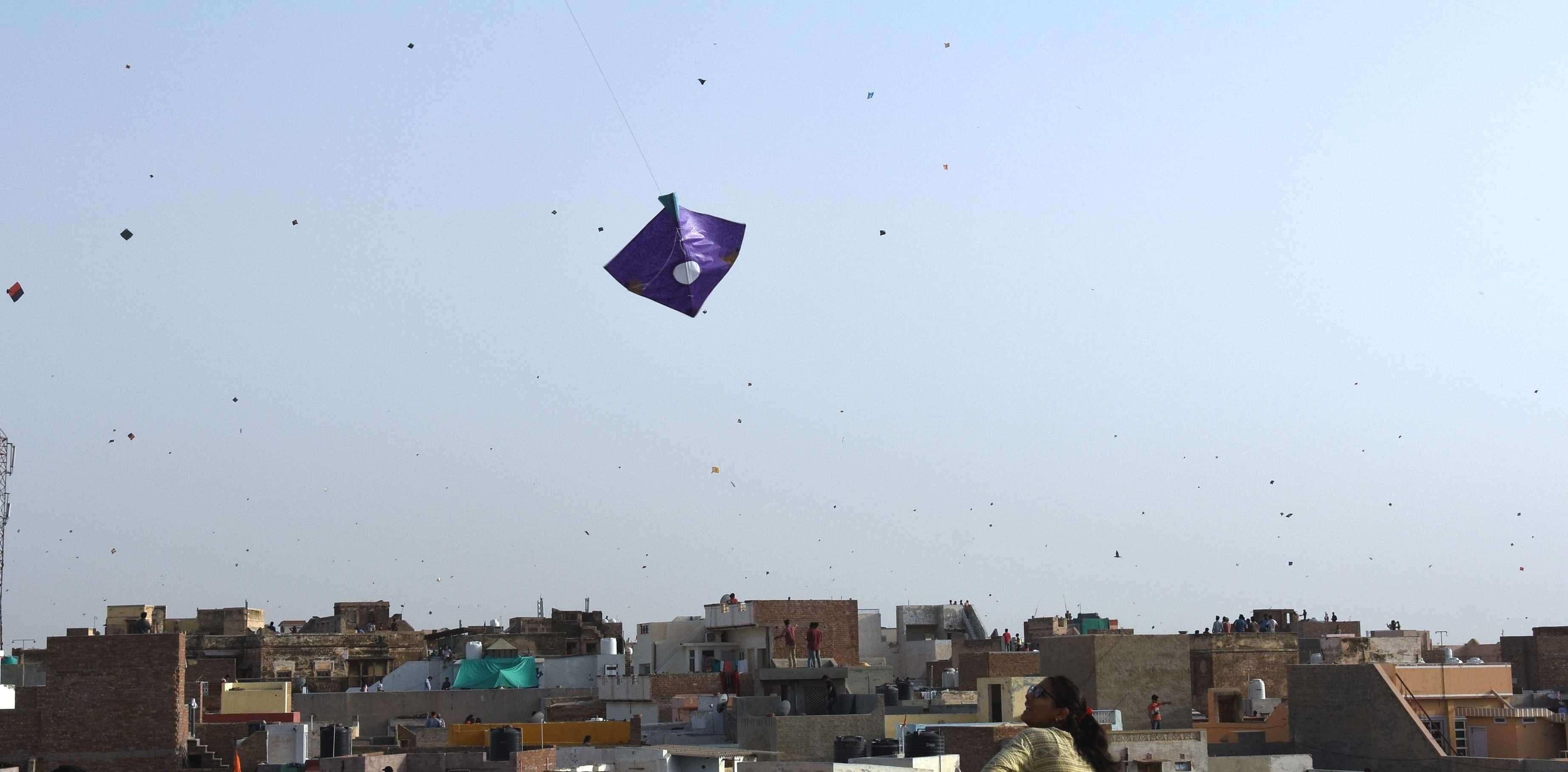 kites flying