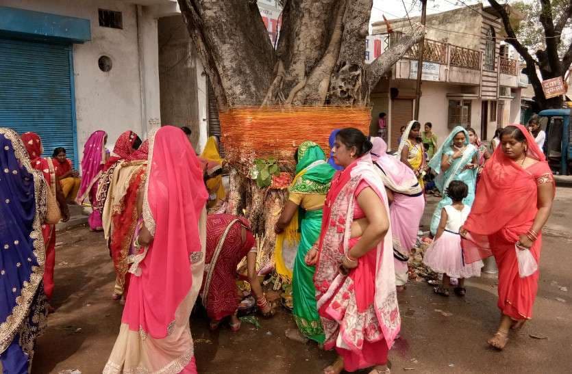 Photo Gallery : पति की दीर्घायु के लिए सुहागिनों ने की वट सावित्री की इस तरह की पूजा-अर्चना