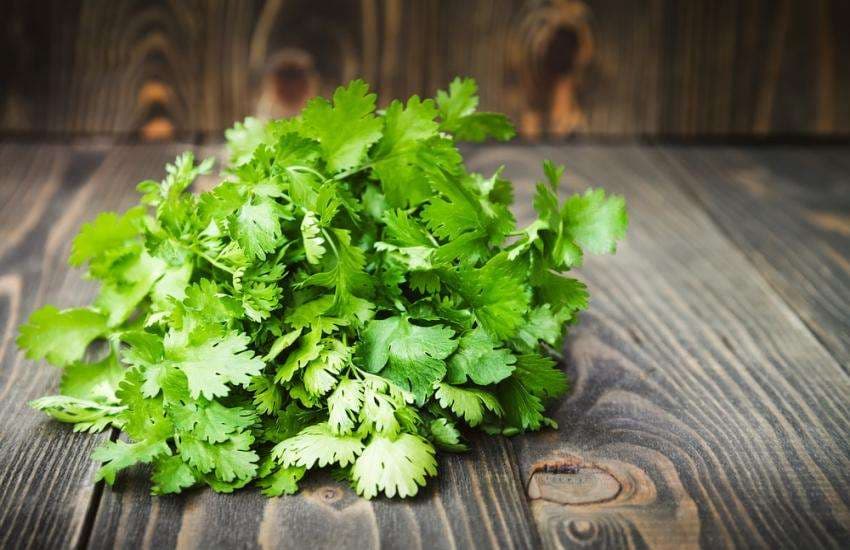 coriander face pack