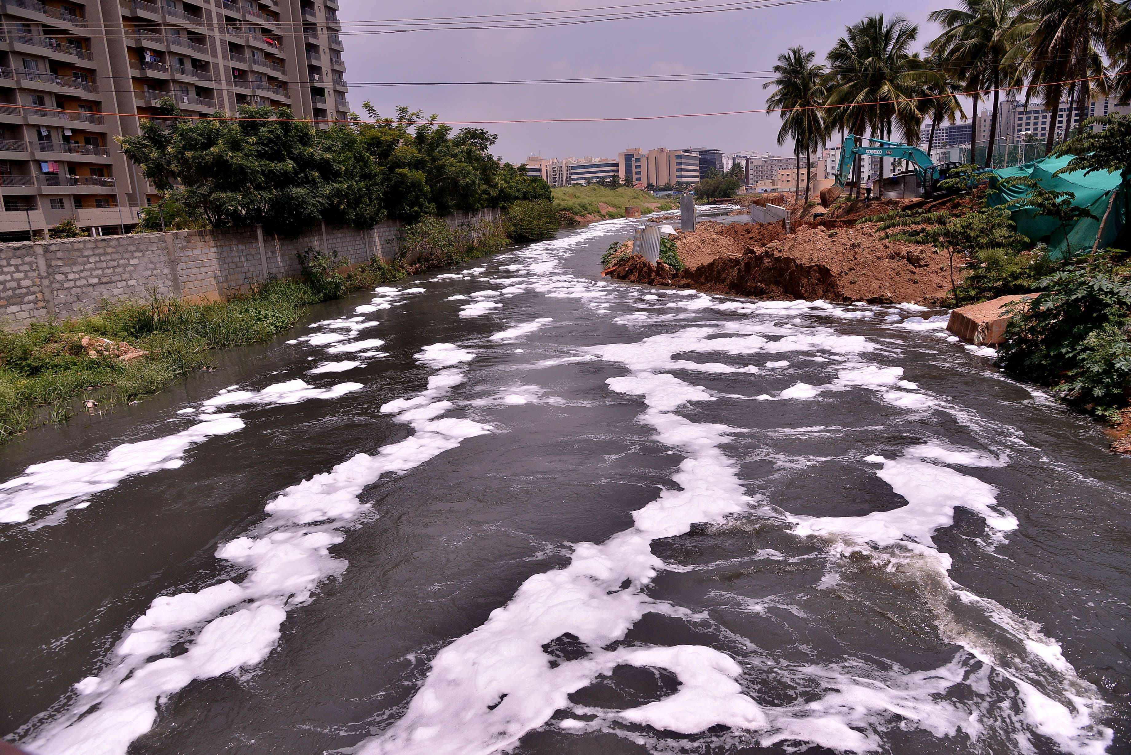 bellandur lake