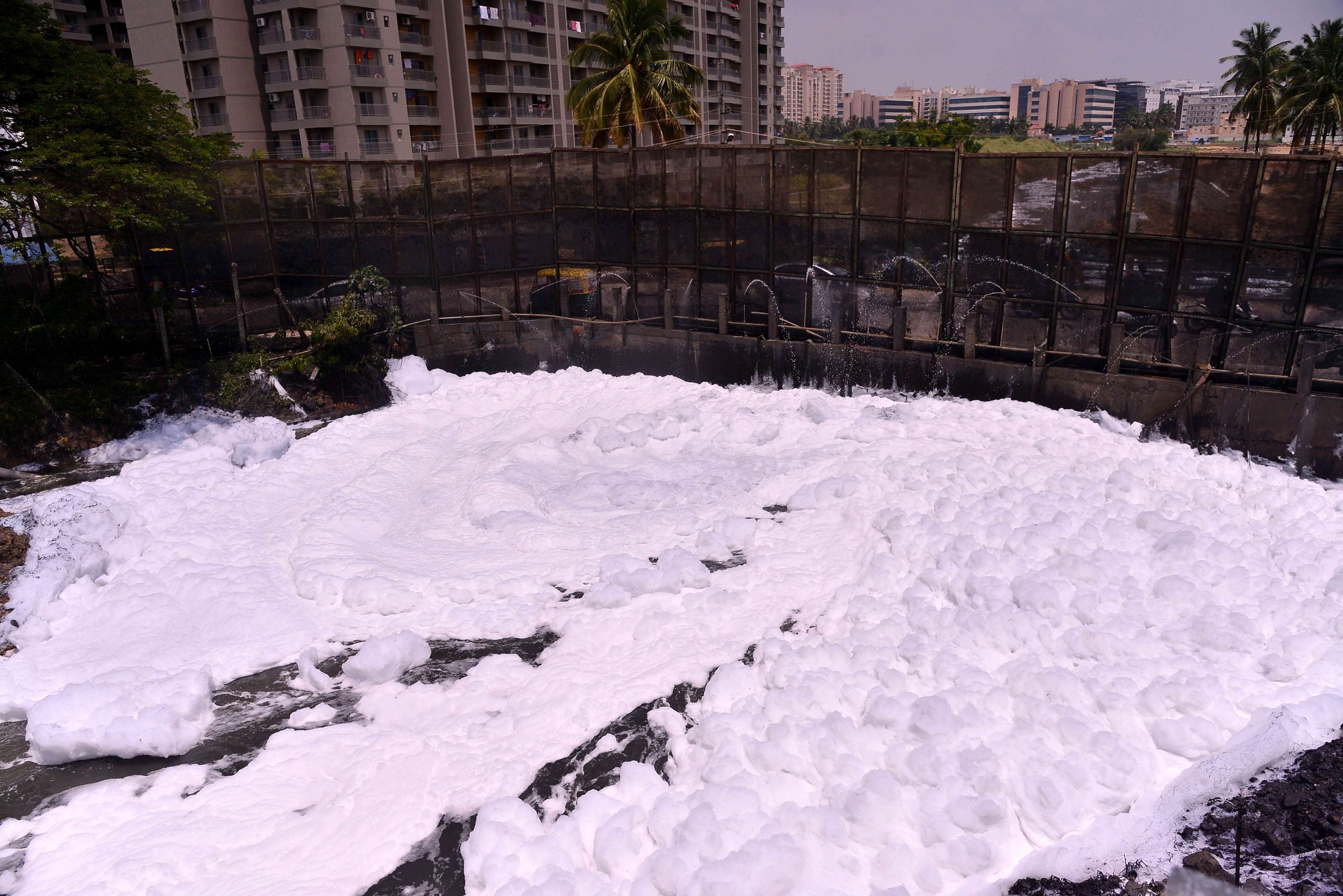 bellandur lake