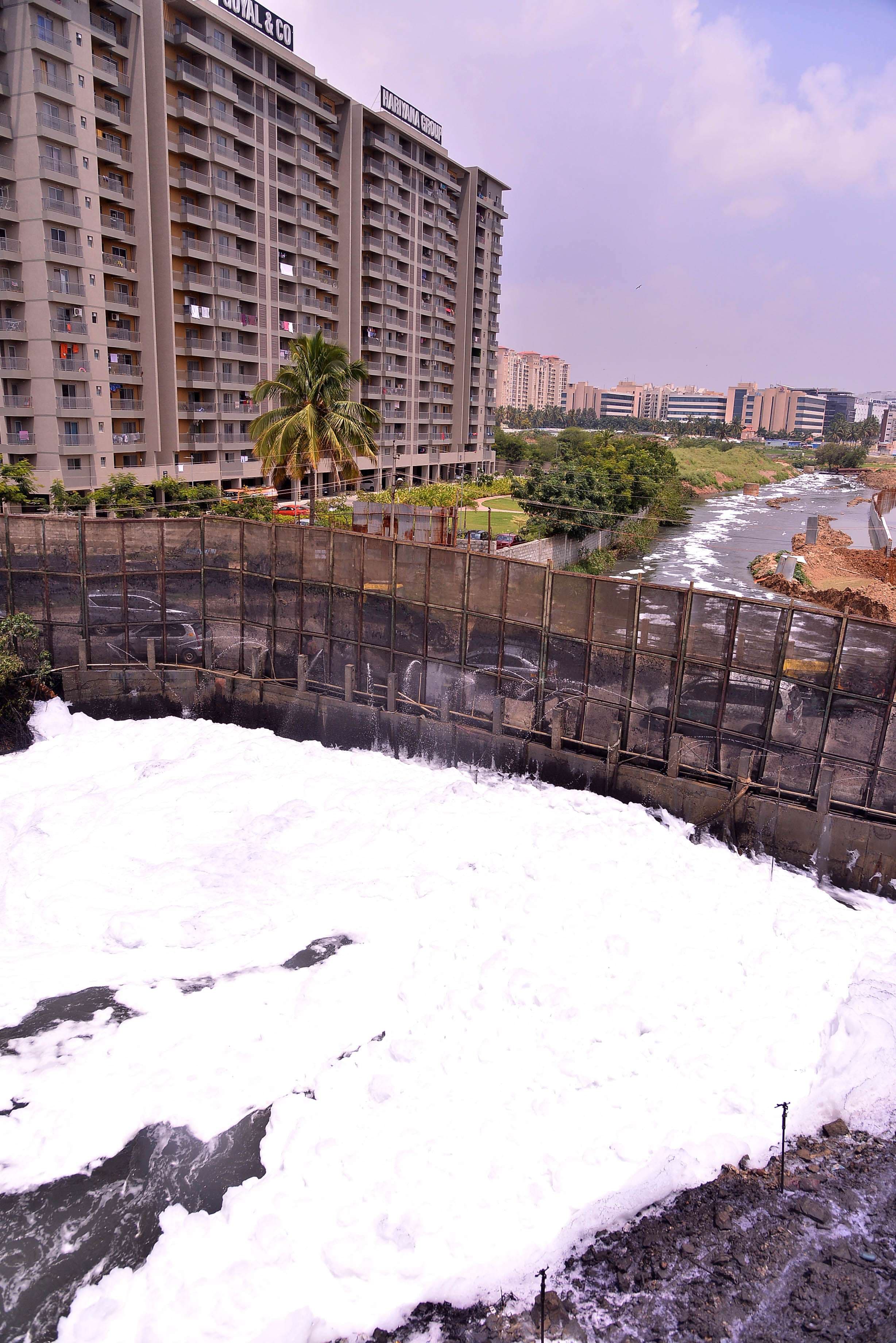 bellandur lake