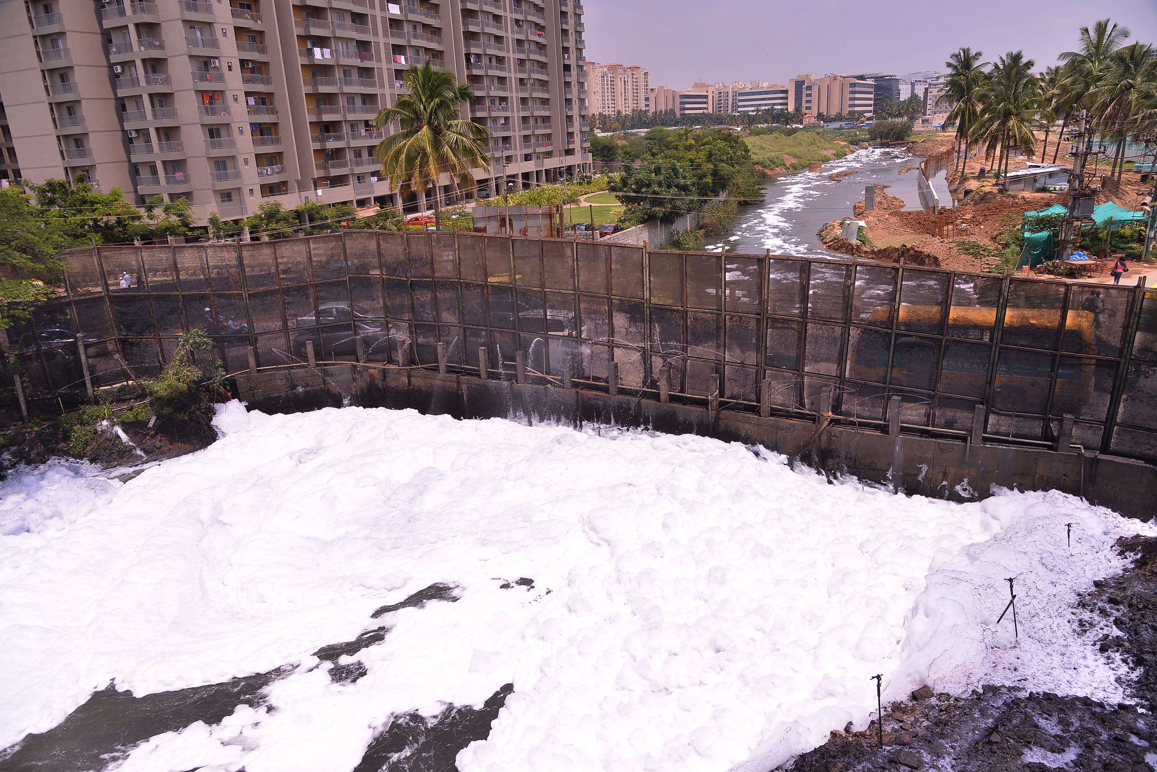 bellandur lake