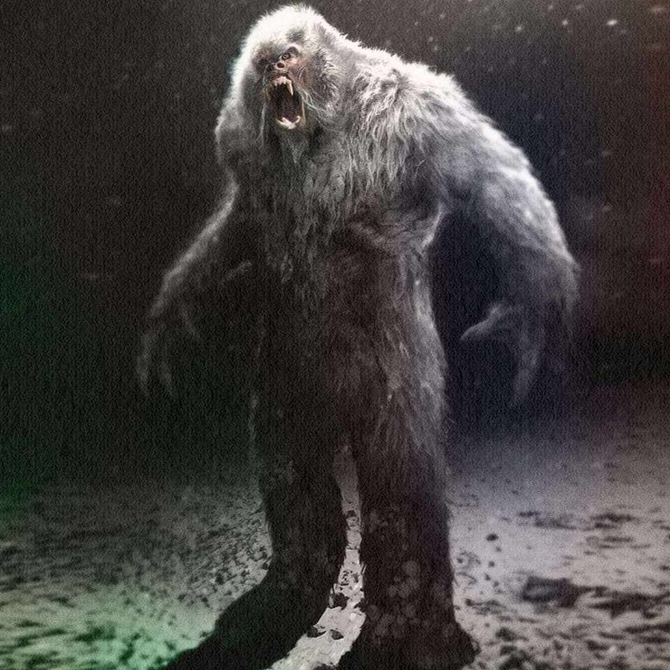 Bigfoot