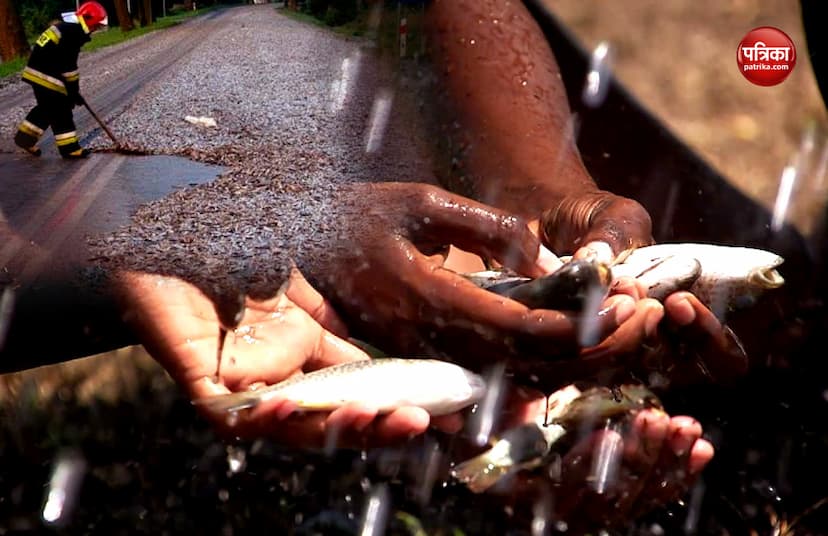 Rain of fish in Honduras