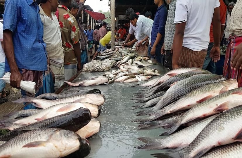 Fishes are sold on the road, residents lost their misery