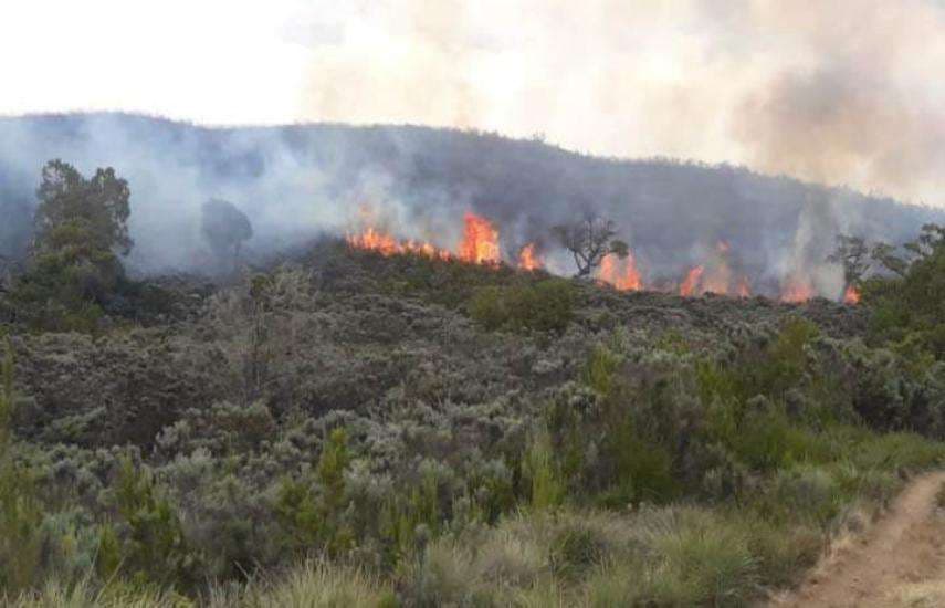 mount kenya fire