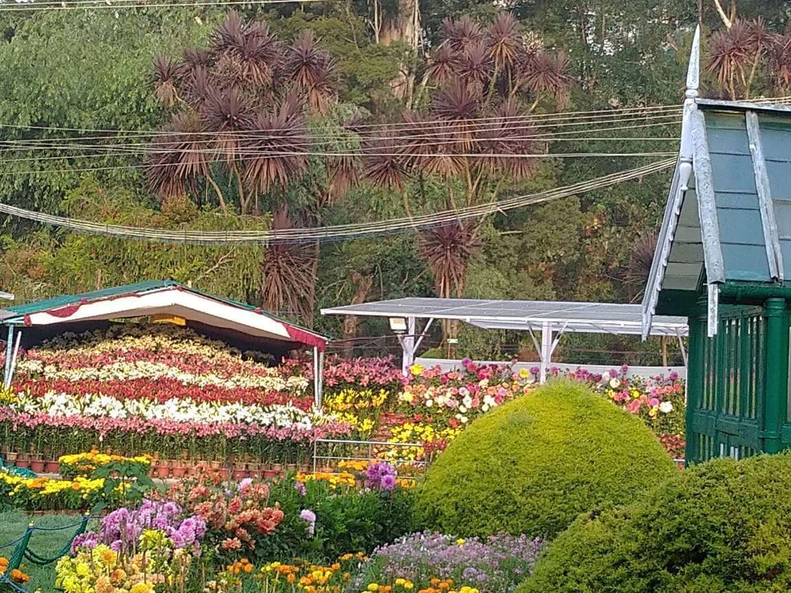 Ooty flower Show