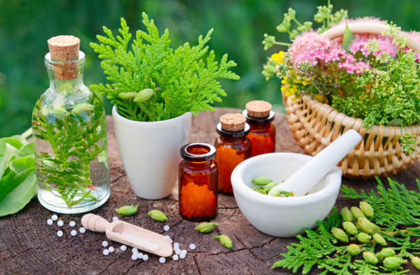 know-about-homeopathy-medicines