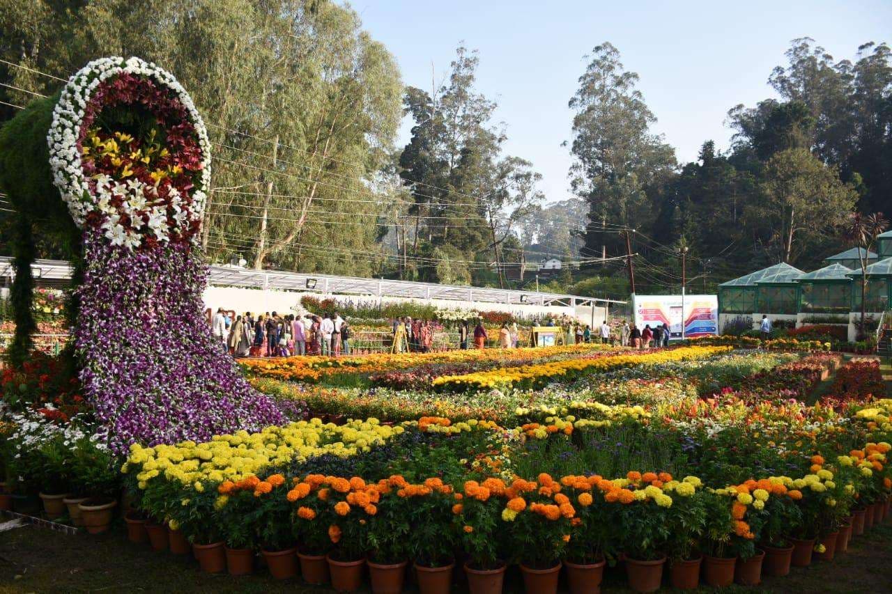 ooty flower show