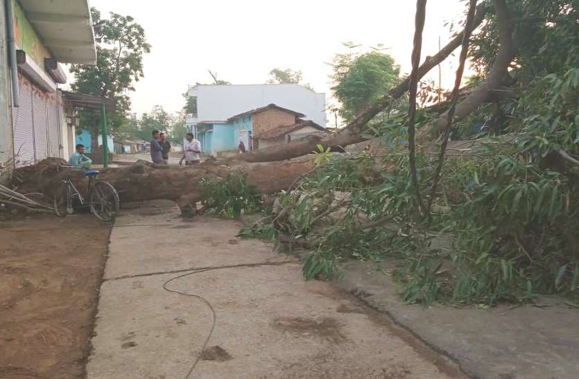 फोटो में देखिए, शुक्रवार को शाम पांच बजते ही मौसम ने कैसे मचाई तबाही