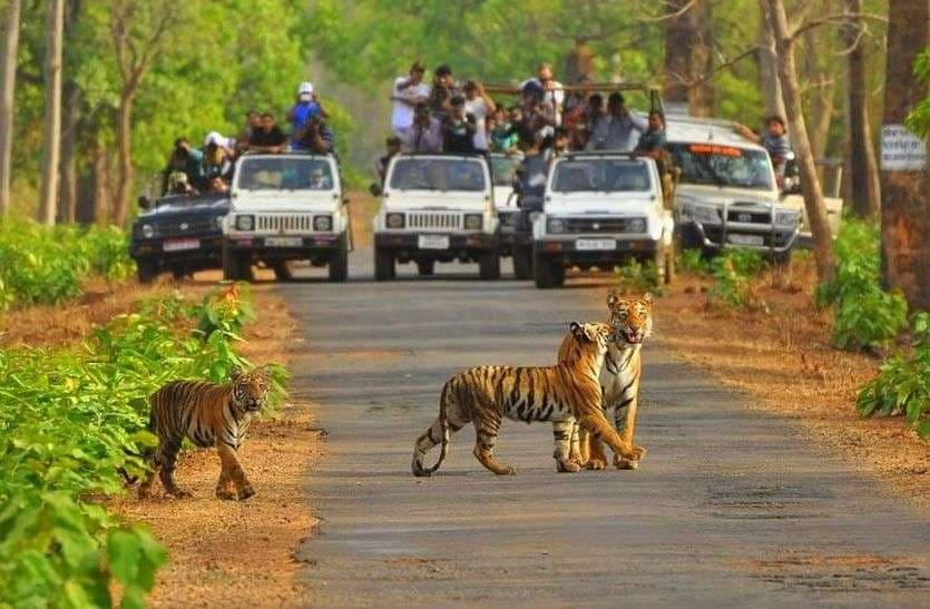 Alwar Best Holiday Spot For Delhi And Jaipur People In Monsoon