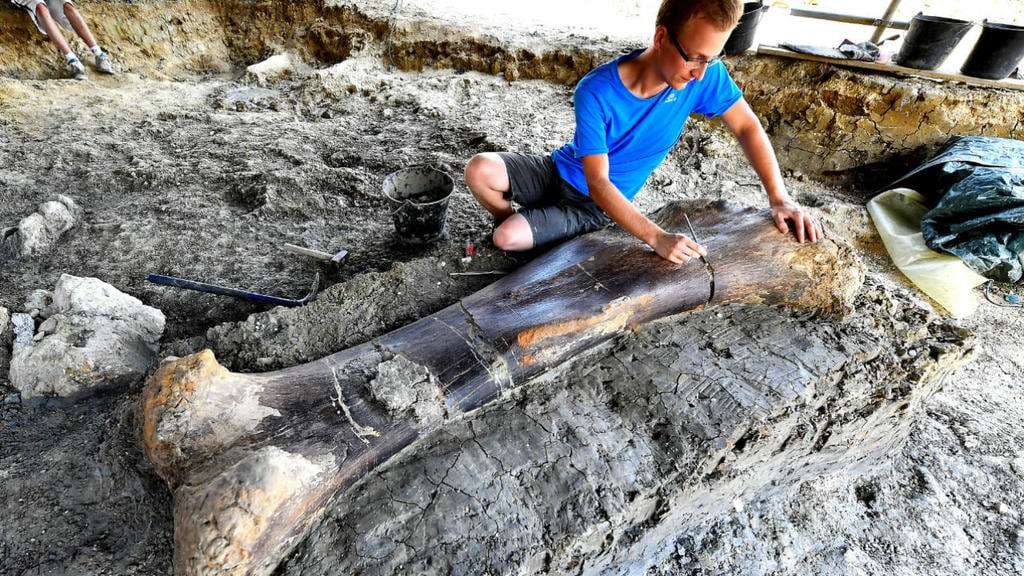 Dinosaur scientists have found a two-metre thigh bone 