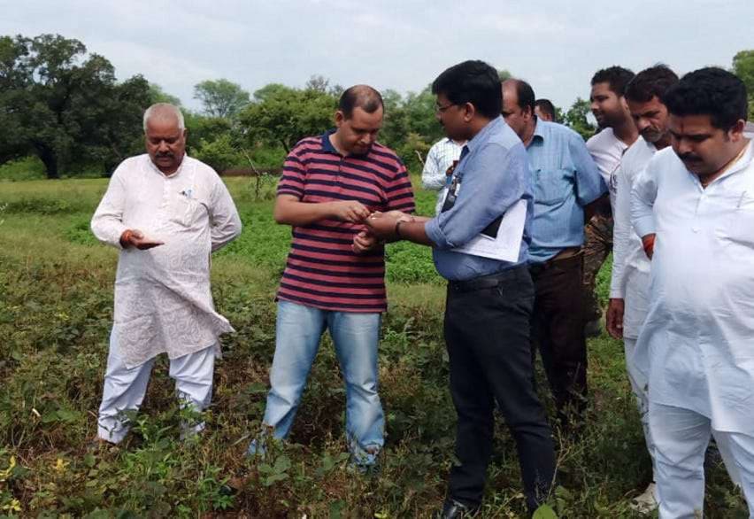 MLA and Collector reached to see the destroyed crops of farmers