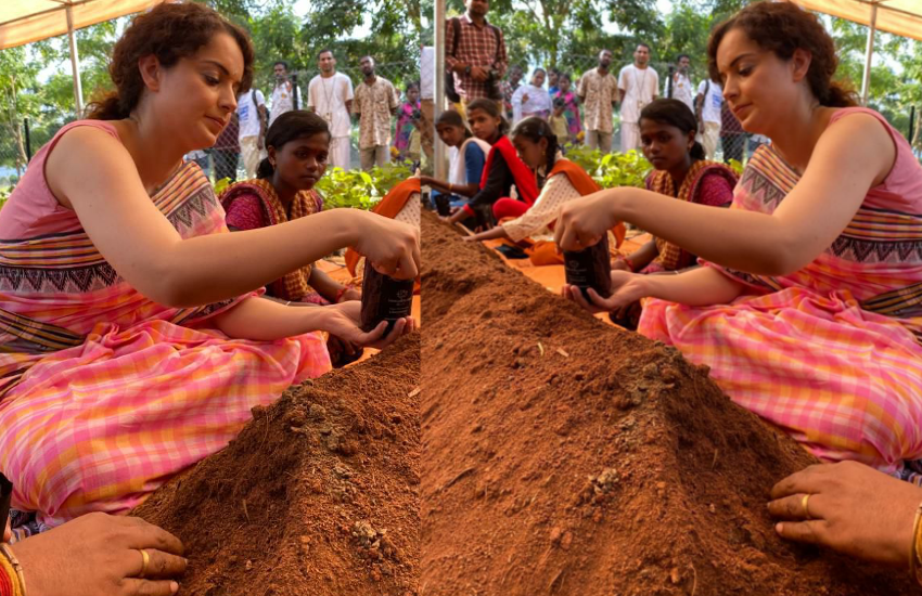 कंगना रनौत ने बोए बीज, तैयार किए पौधे, ग्रीन इंडिया मिशन के तहत बटेंगे किसानो में