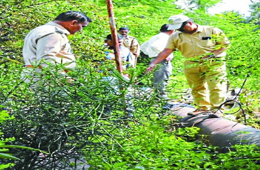 उडऩदस्ता प्रभारी बोले- तेंदुए के हैं पंजों के निशान, एसडीओ बता रहे लकड़बग्घा, दहशत में रहवासी