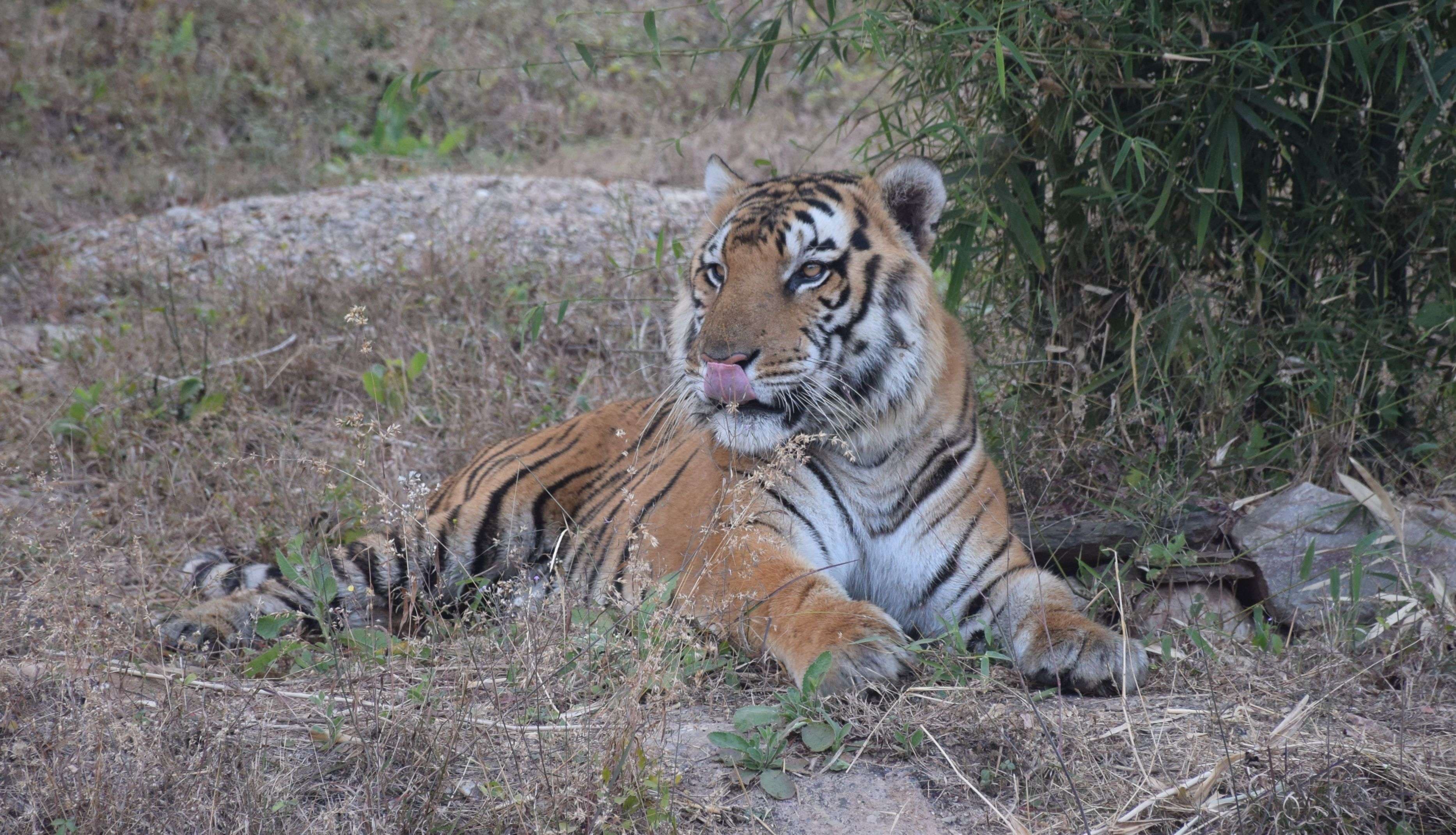 biological park udaipur