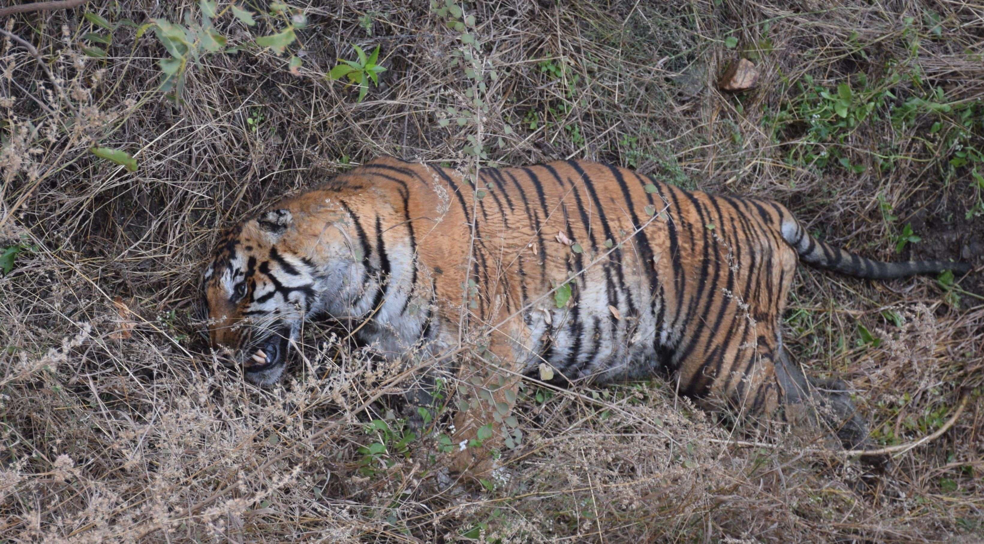 biological park udaipur