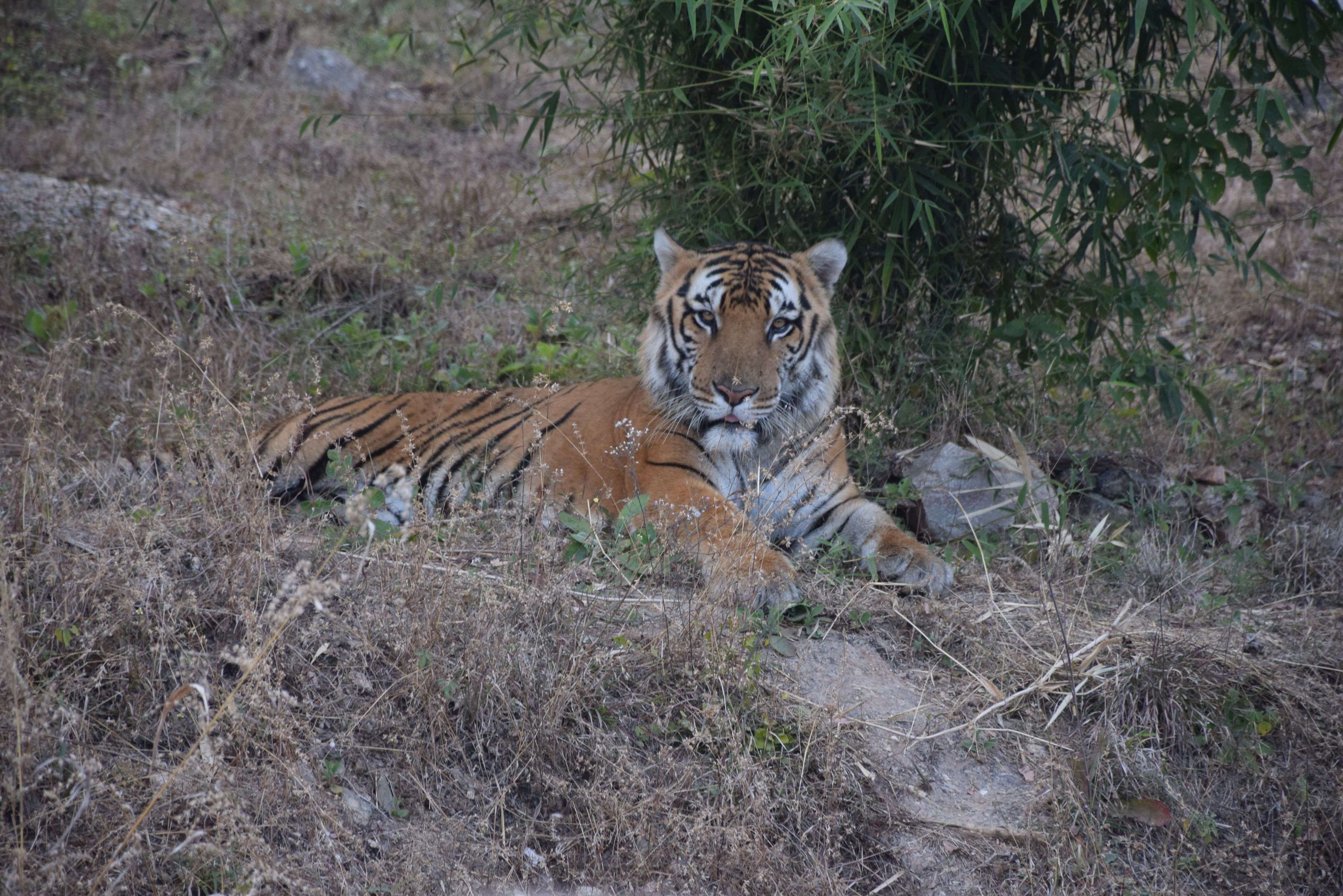 biological park udaipur