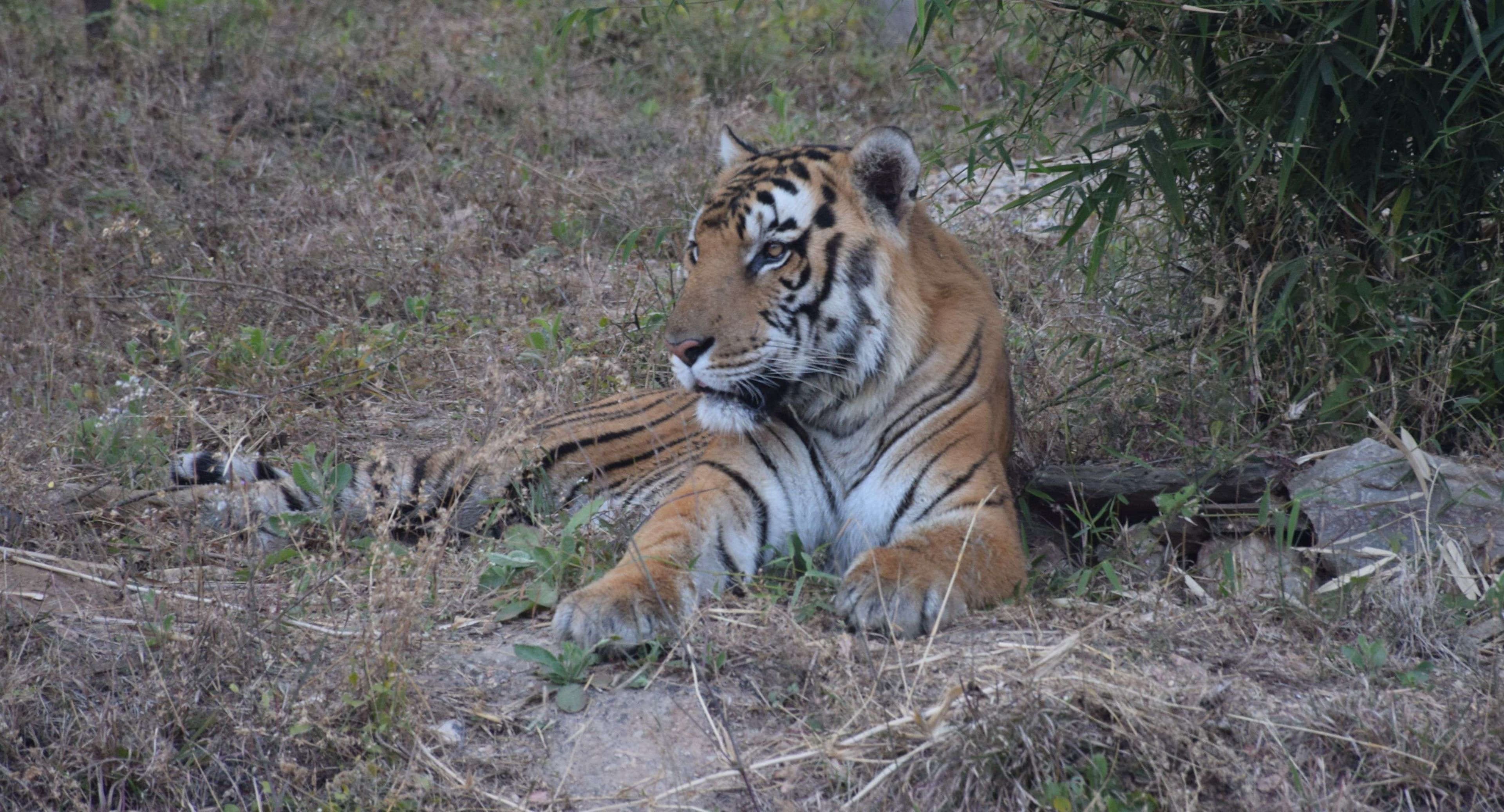 biological park udaipur