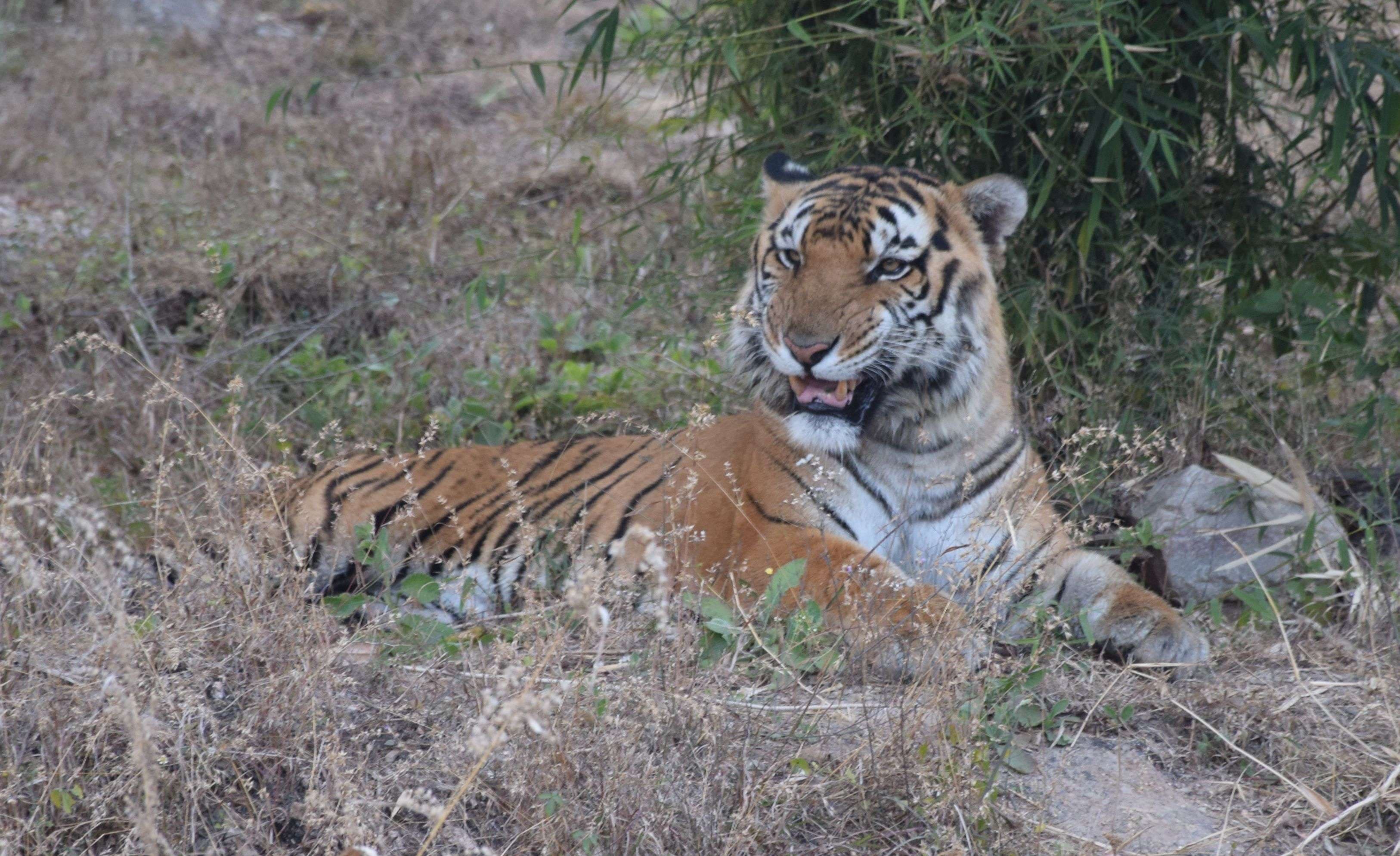 biological park udaipur