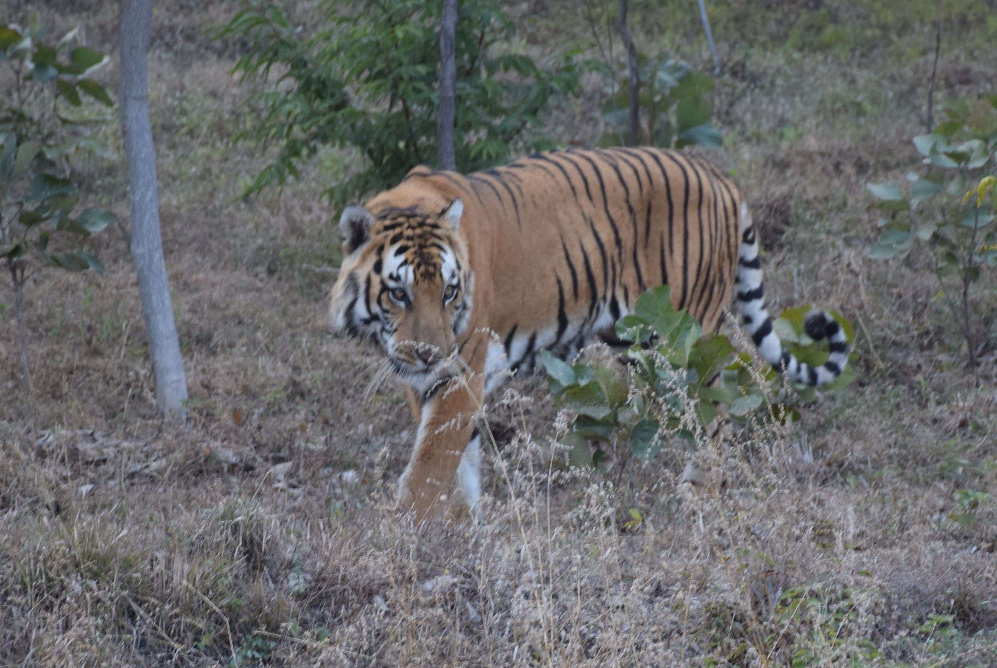 biological park udaipur