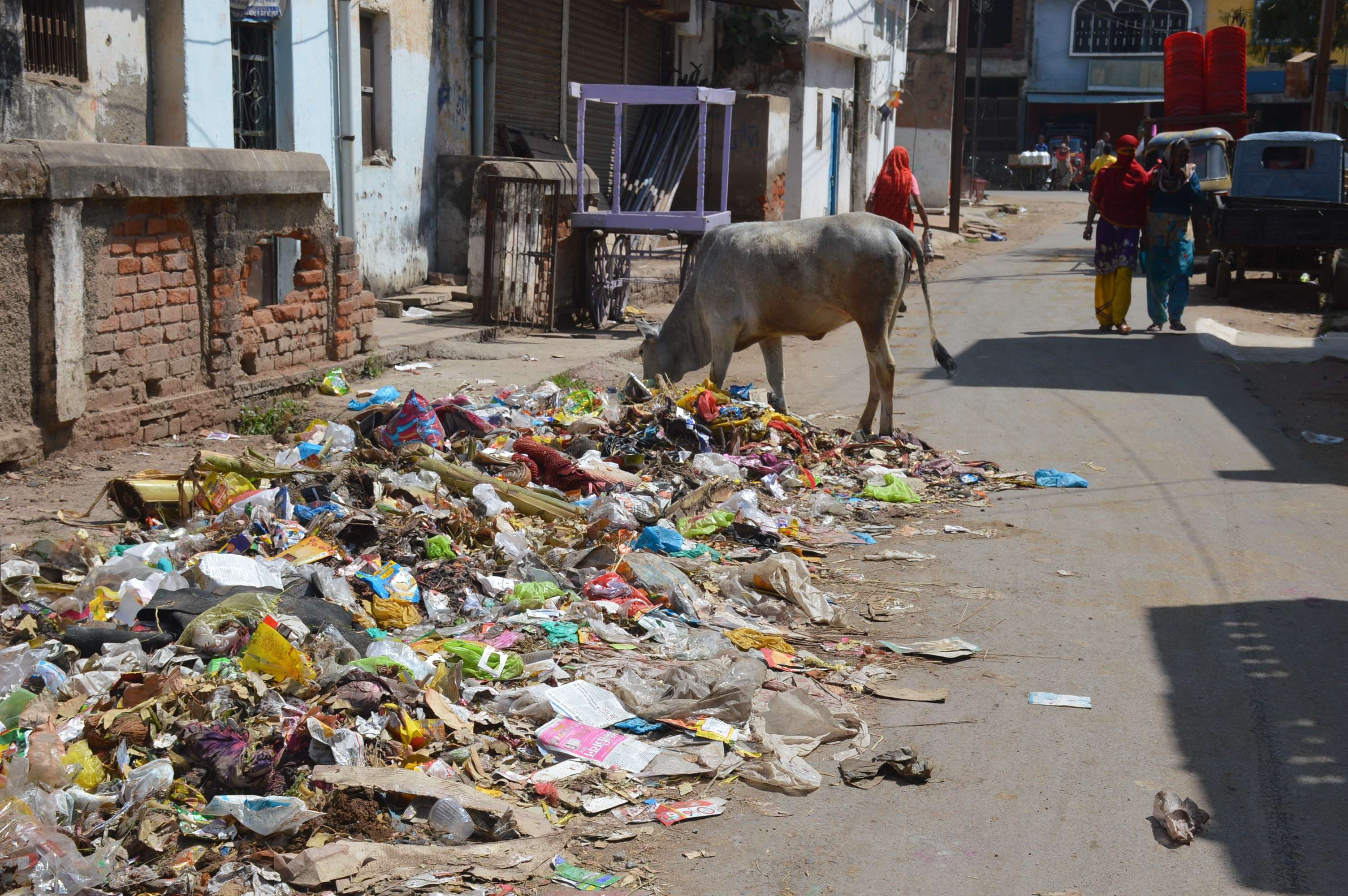 nagar palika damoh