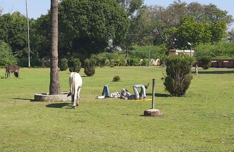 महाराणा प्रताप सागर बांध गार्डन फोटो -3