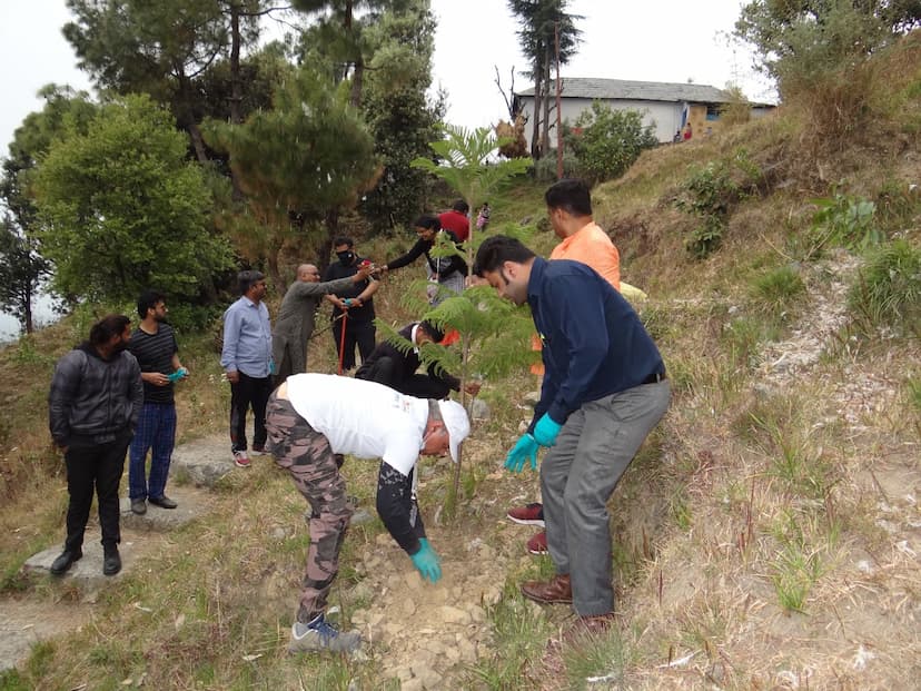 Unique initiativeplantation made Dhauladhar Festival Himachal Pradesh